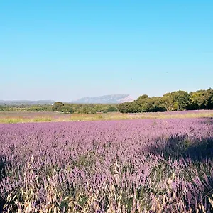  Bed & Breakfast Maison Francoise France